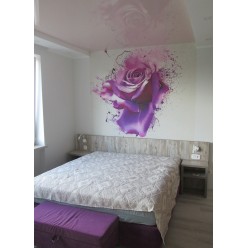 Bed 99985